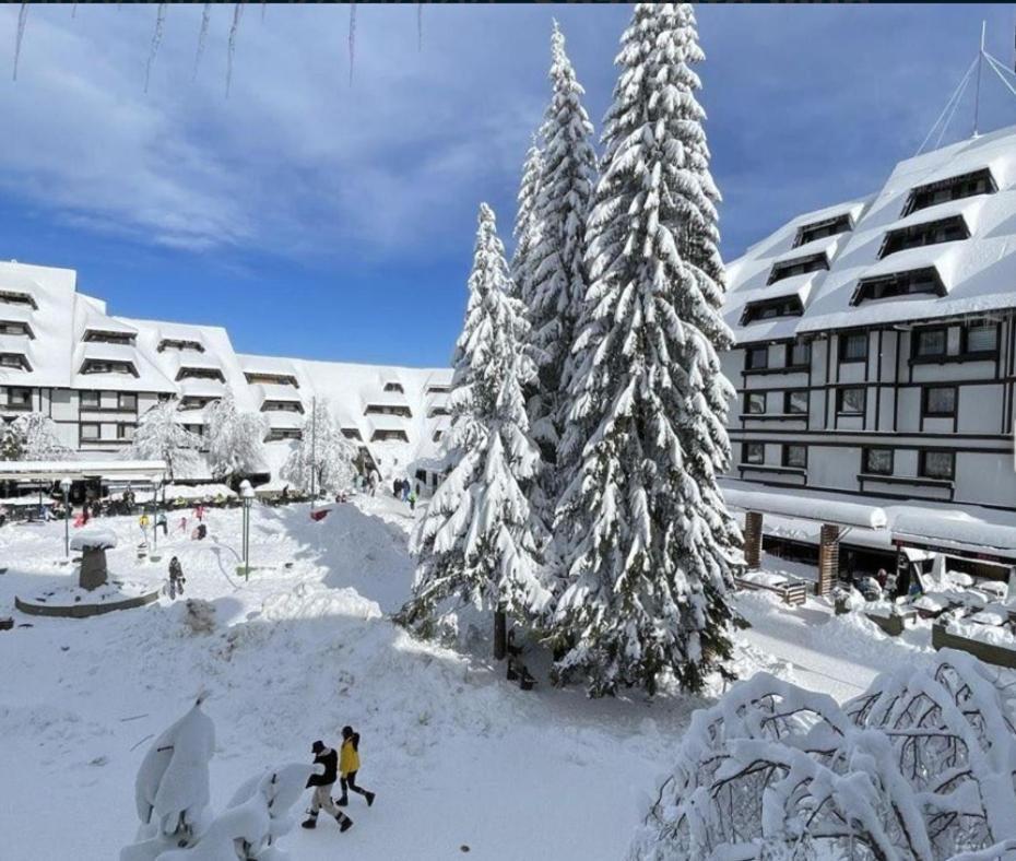 Tim 135 Konaci-Angella Centar Apartment Kopaonik Exterior photo
